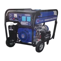 Foto principal de Generador Grupo Electrogeno Portatil Naftero 5000W 13Hp