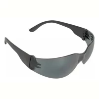 Foto principal de Anteojo De Seguridad Libus Ecoline 900558 Con Cristal Negro
