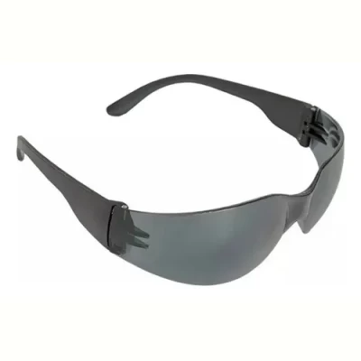 Imagen principal del producto: Anteojo De Seguridad Libus Ecoline 900558 Con Cristal Negro